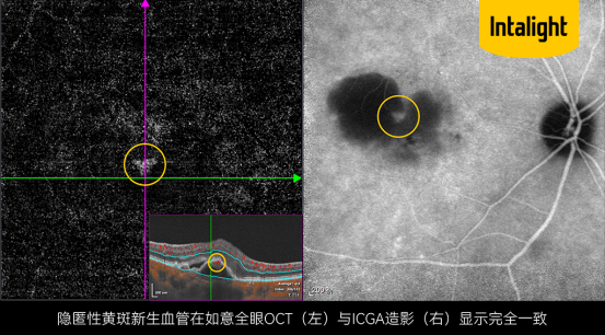微信图片_2025-09-17_162430_133 微信图片_2025-09-17_162430_133