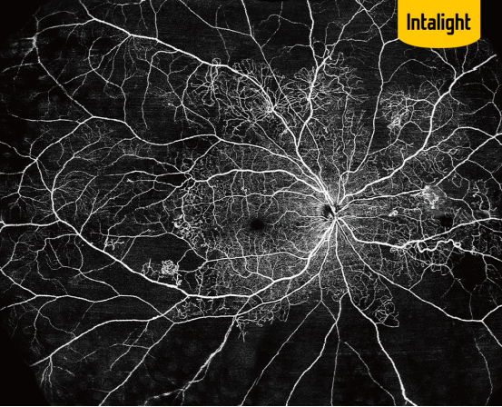 微信图片_2025-09-17_162438_933 微信图片_2025-09-17_162438_933